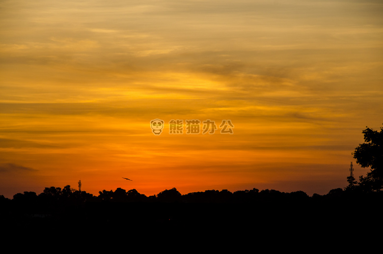 黎明 天空 日出