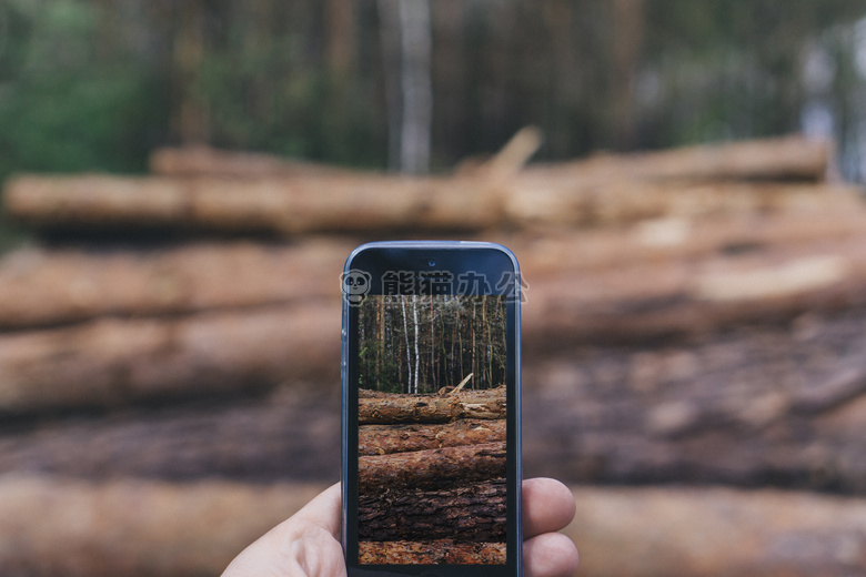 森林 手 苹果手机