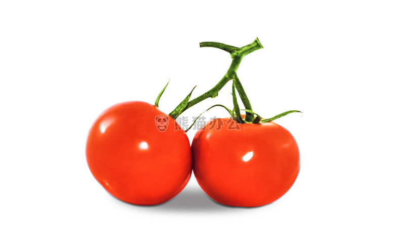 食物 红色 番茄