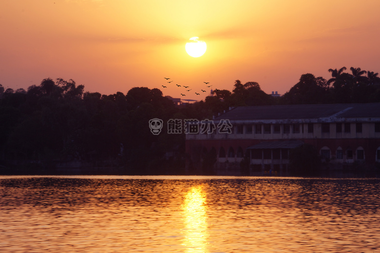 傍晚 太阳 日出