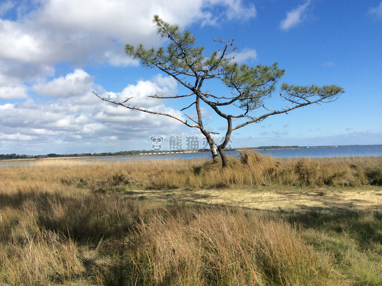 盆地 d'arcachon 帽子