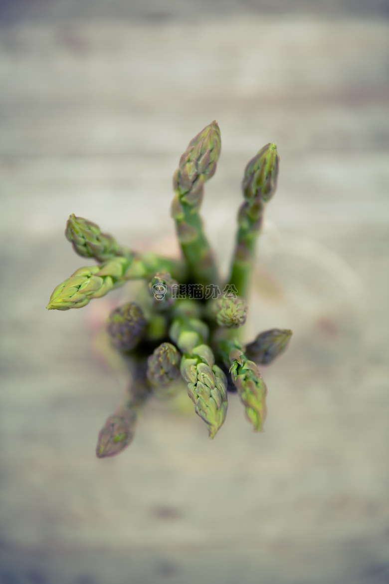 芦笋 食物 植物