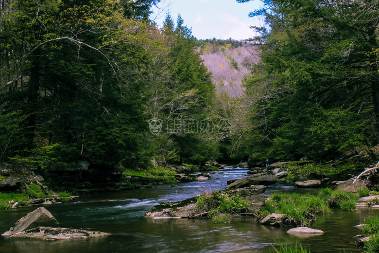 小溪 森林 山