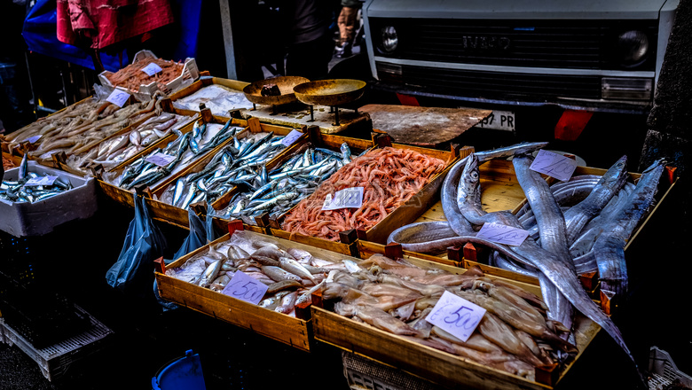 鱼 食物 市场