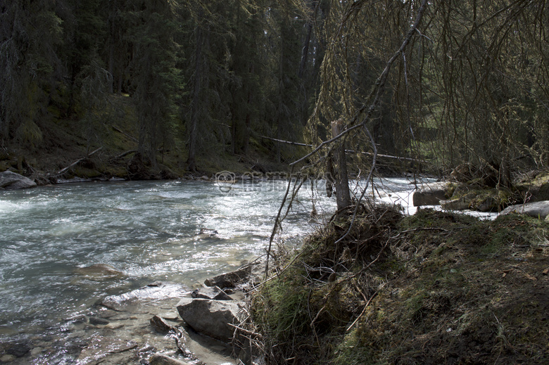 加拿大 清楚的 水