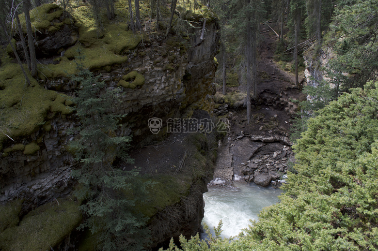 加拿大 清楚的 水