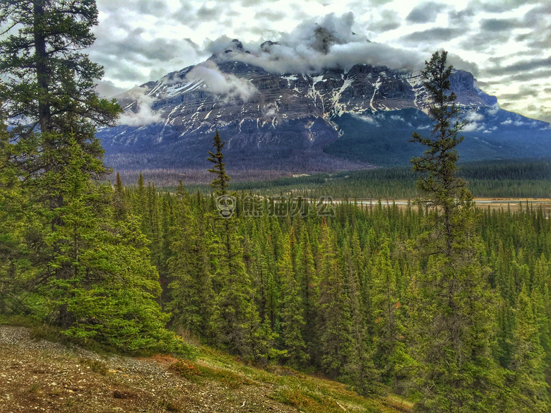 班夫 美女 加拿大
