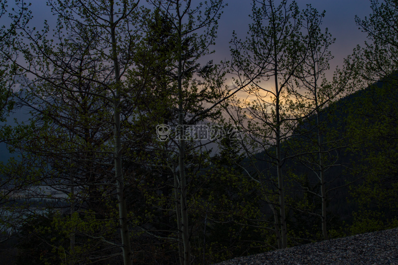 班夫 美女 加拿大