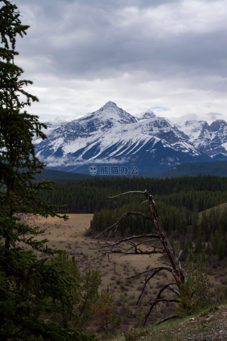 班夫 美女 加拿大