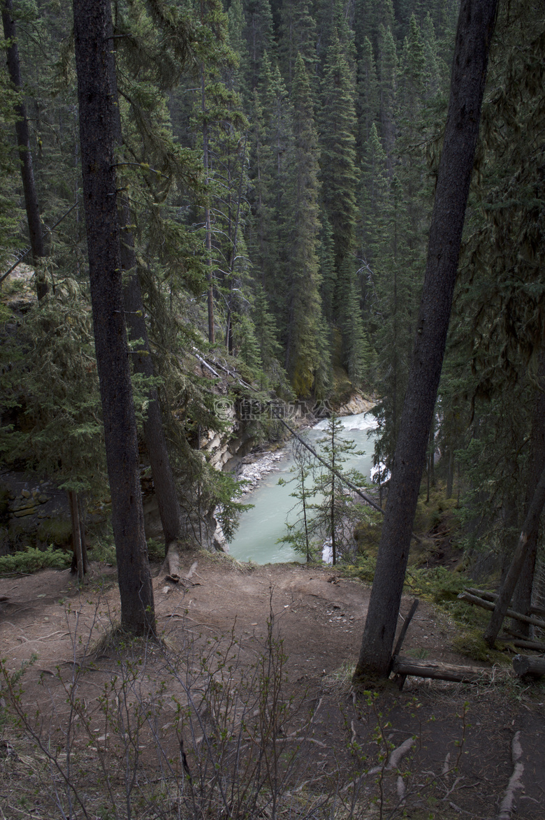 加拿大 清楚的 水
