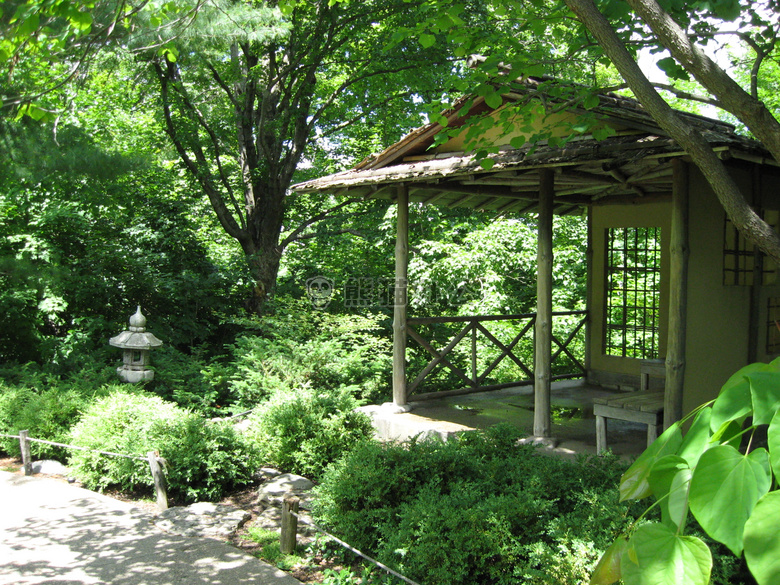 花园 茶 房子
