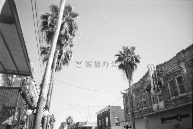 35mm 砖 墙