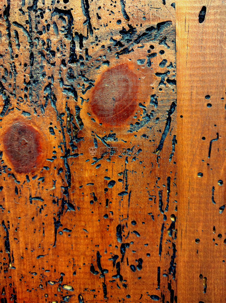 棕色的 纹理 木材