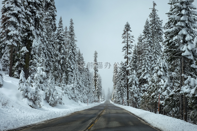 寒冷的 路 雪