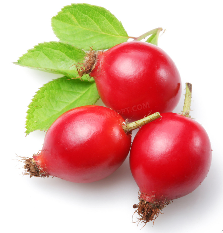 三枚红彤彤玫瑰果特写摄影高清图片