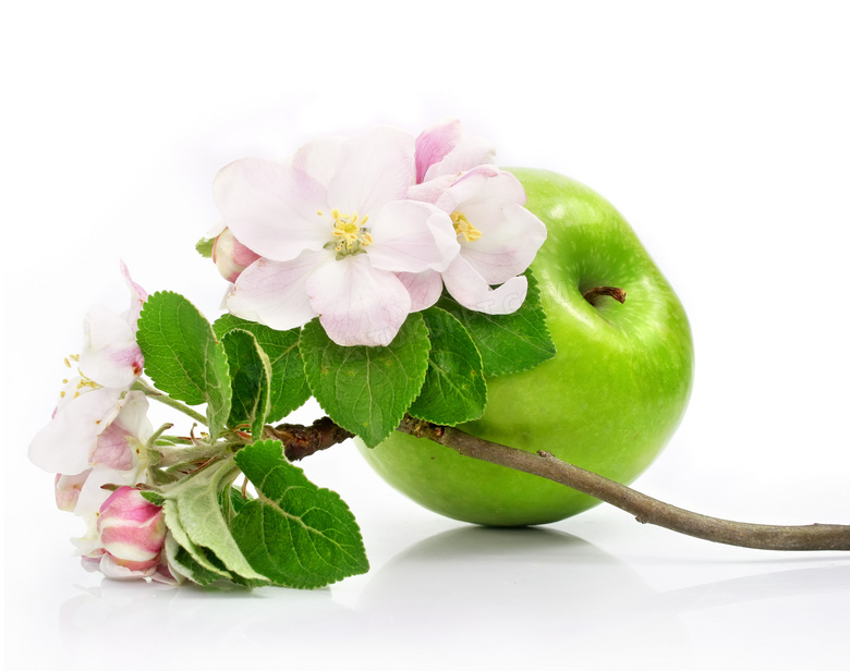 青苹果与花朵枝条特写摄影高清图片