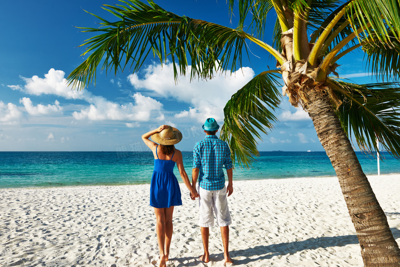 沙滩上椰树下散步的情侣摄影图片