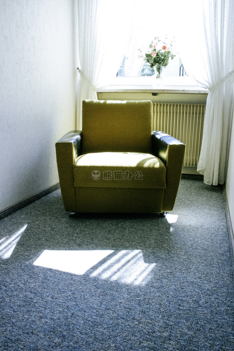 公寓 地毯 椅子