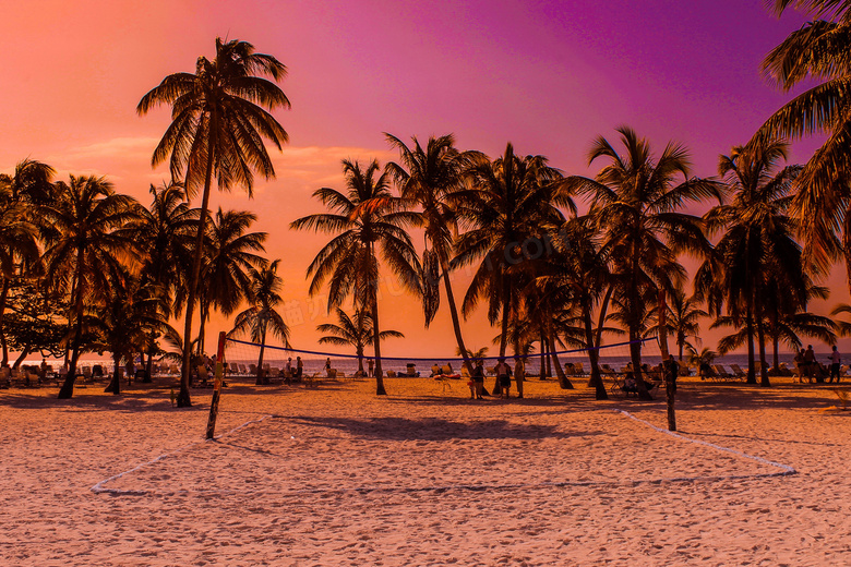 傍晚沙滩上的椰树林摄影图片
