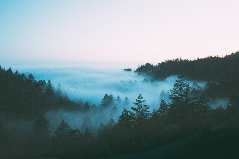 雾气蒙蒙的森林高清摄影图片