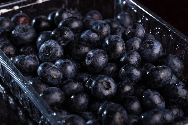 精心筛选后的蓝莓特写摄影高清图片