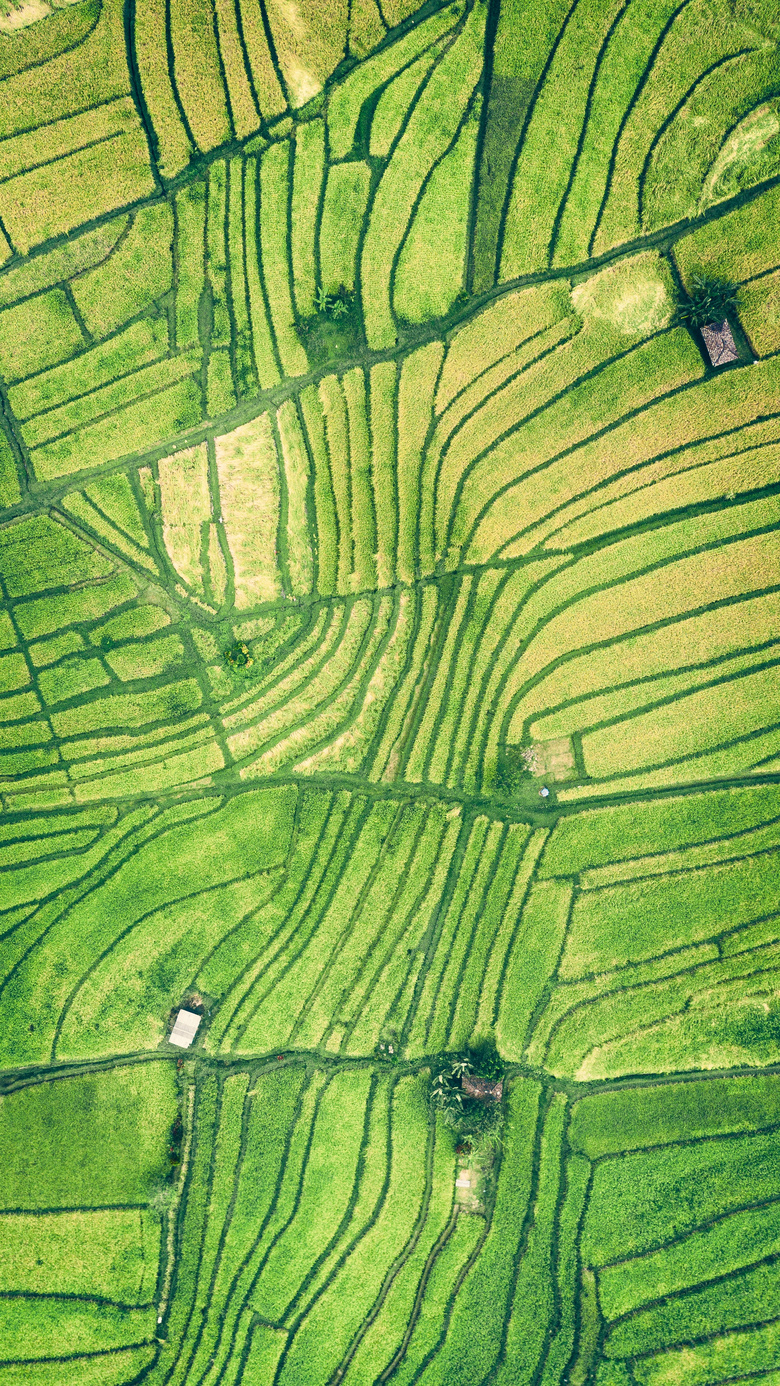 绿色农业发展效果鸟瞰摄影高清图片