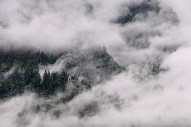 大雾中的山间树林风光摄影高清图片