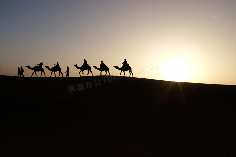 夕阳下沙漠中行走的驼队摄影图片