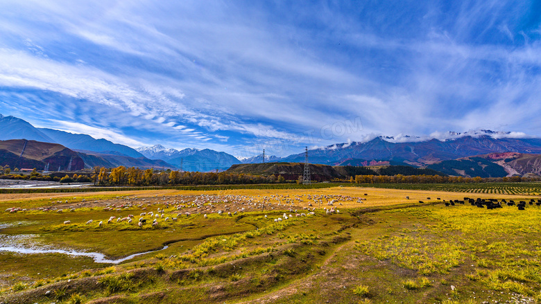 祁连山脚下的牧羊群摄影图片