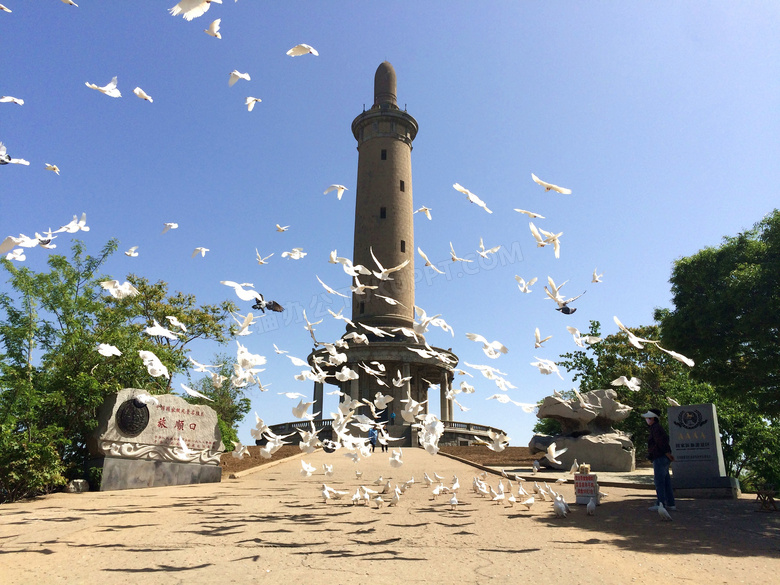 旅顺口风景区飞起的鸽子们高清图片