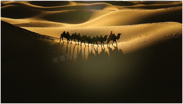 行进在沙漠中的骆驼队摄影高清图片