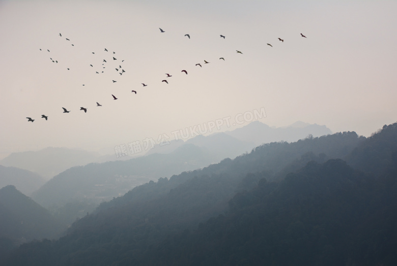 雾气之中的山峦与一群大雁高清图片