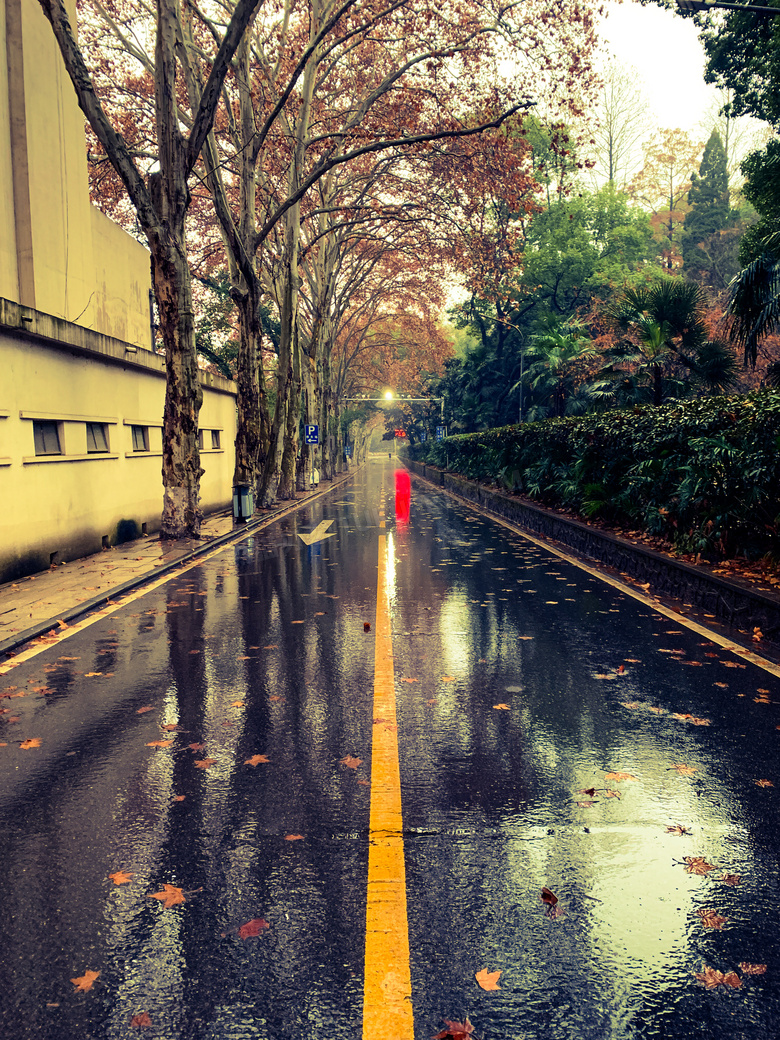 雨后街道意境图片