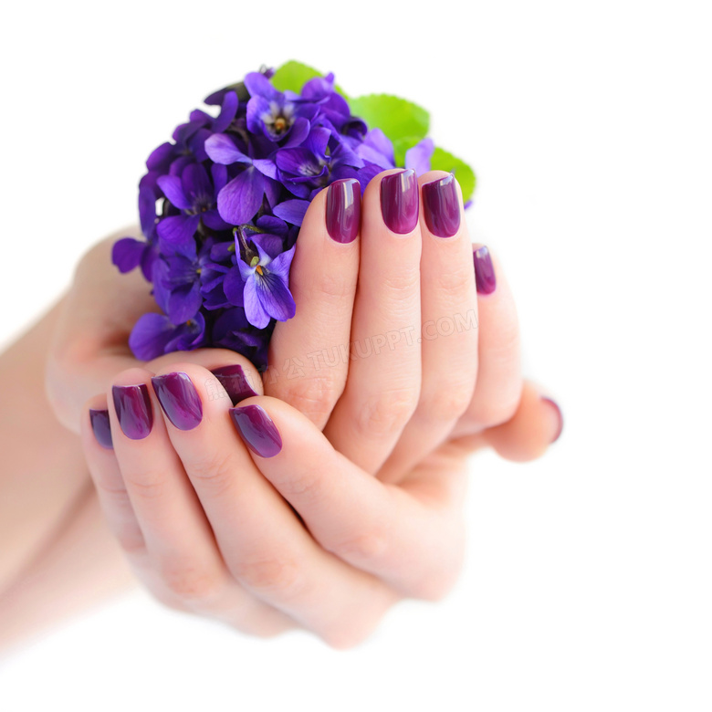 捧着紫色花的手势特写摄影高清图片