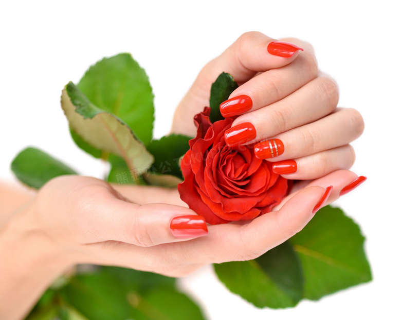精致美甲手中的玫瑰花摄影高清图片