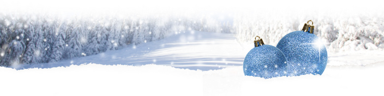 树林雪景与圣诞装饰球摄影高清图片