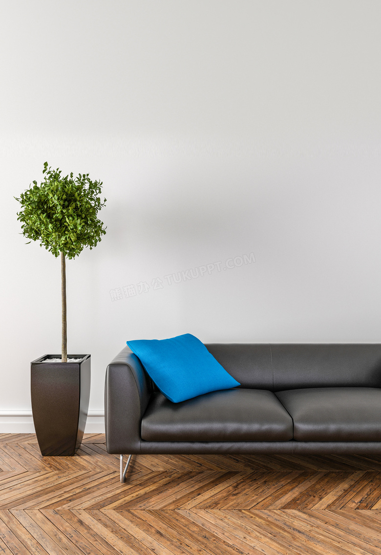 绿植与在沙发上的蓝色抱枕高清图片