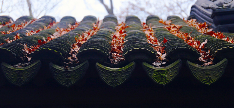 秋季黑瓦屋檐上的枫叶高清摄影图片