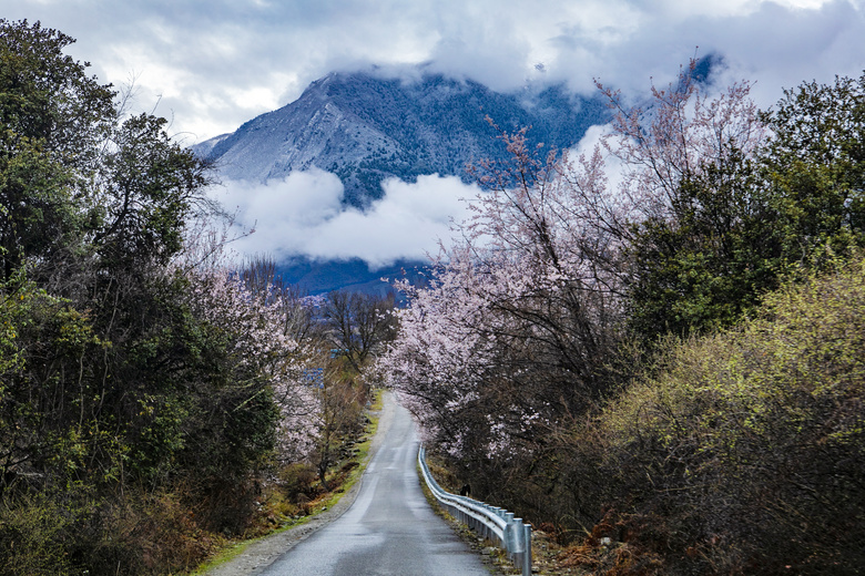 山中小道美景高清摄影图片