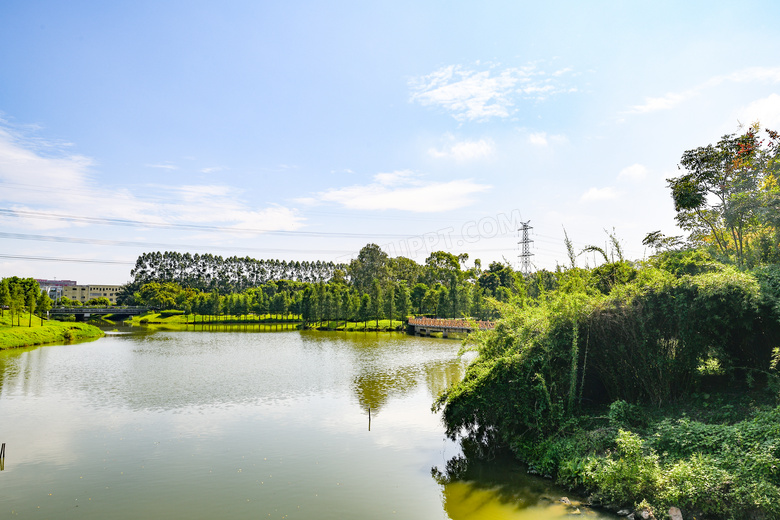 茶山镇湿地公园美景高清摄影图片