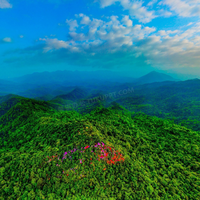 美丽的青山树林景观摄影图片