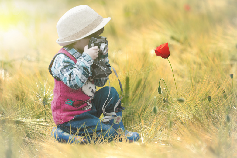 在拍摄红色鲜花的儿童人物高清图片