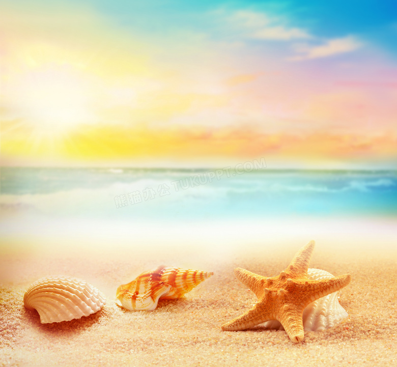 云霞与在沙滩上的海星贝壳高清图片