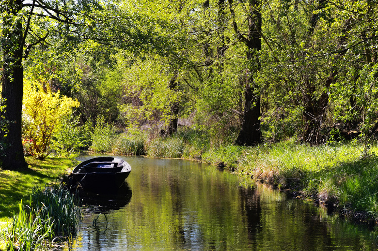 树林小河边的小船风景摄影高清图片