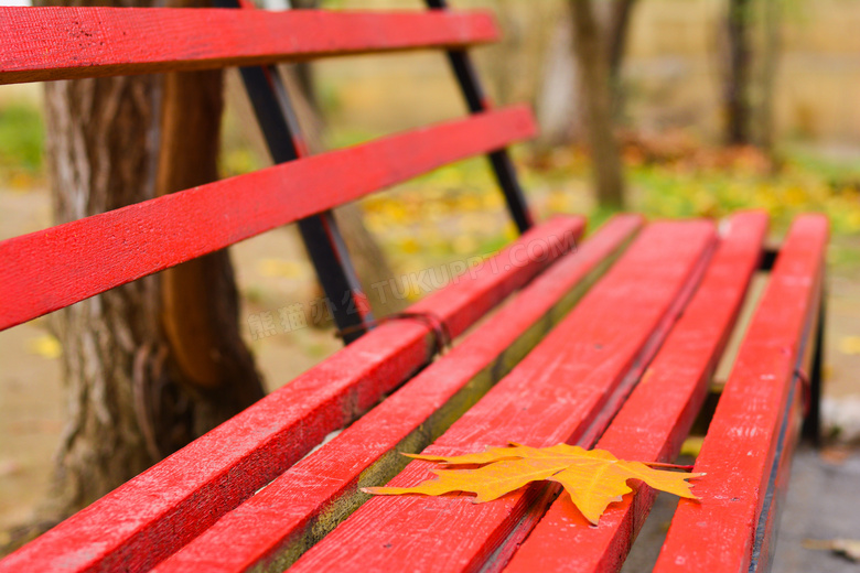 红色长椅上的一片树叶摄影高清图片