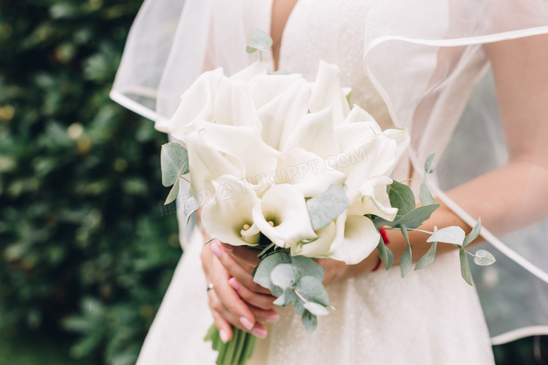 拿在新娘手中的白色花摄影高清图片