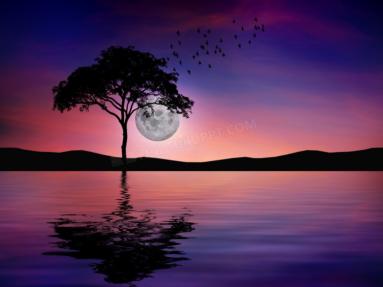 湖畔树木与空中的圆月摄影高清图片