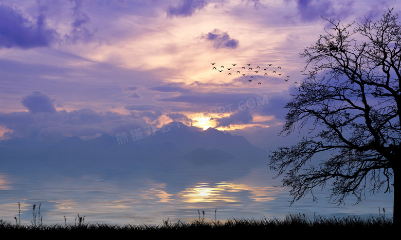 黄昏时天边云彩与树木剪影高清图片