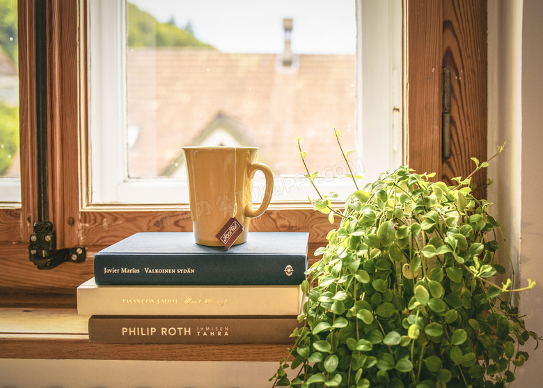 书籍杯子与绿色植物等摄影高清图片