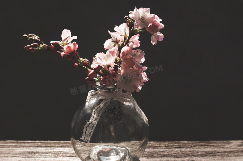 在透明玻璃瓶中的樱花摄影高清图片